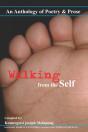 Walking From The Self - Preview