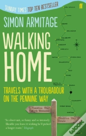 Capa do artigo Walking Home