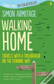 Capa do artigo Walking Home