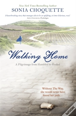 Capa do artigo Walking Home