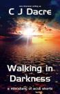 Walking In Darkness: And Other Stories - Preview