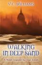 Walking In Deep Sand - Preview