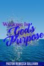 Walking In God'S Purpose - Preview