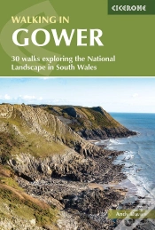 Capa do artigo Walking In Gower