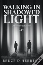 Capa do artigo Walking In Shadowed Light