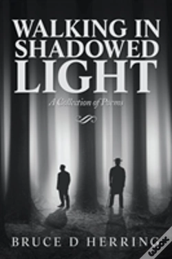 Capa do artigo Walking In Shadowed Light