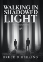 Walking In Shadowed Light - Preview