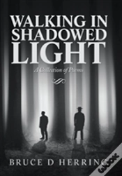Capa do artigo Walking In Shadowed Light