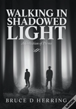 Capa do artigo Walking In Shadowed Light