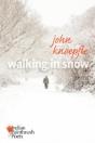 Walking In Snow - Preview