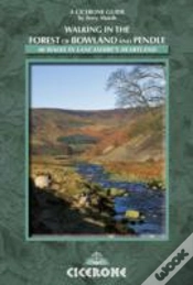 Capa do artigo Walking In The Forest Of Bowland And Pendle