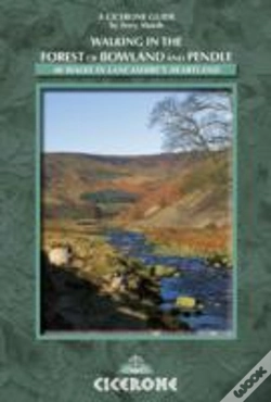 Capa do artigo Walking In The Forest Of Bowland And Pendle