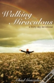 Capa do artigo Walking In The Miraculous: A Thirty Day