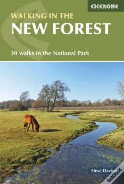 Capa do artigo Walking In The New Forest