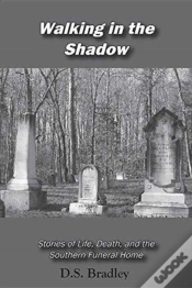 Capa do artigo Walking In The Shadow