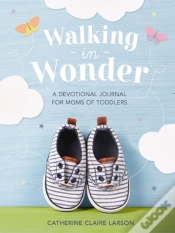 Capa do artigo Walking In Wonder