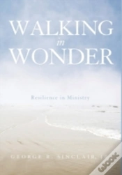 Capa do artigo Walking In Wonder