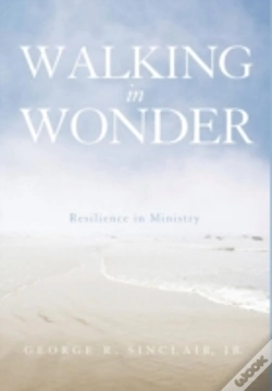 Capa do artigo Walking In Wonder