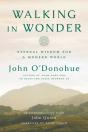 Walking In Wonder - Preview