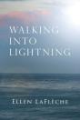 Walking Into Lightning - Preview