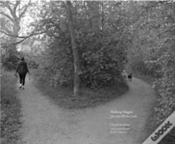 Capa do artigo Walking Magpie
