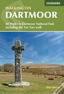 Capa do artigo Walking On Dartmoor