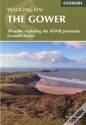 Capa do artigo Walking On Gower