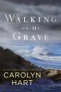 Walking On My Grave - Preview