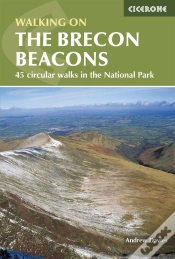 Capa do artigo Walking On The Brecon Beacons