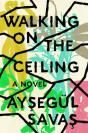 Walking On The Ceiling - Preview
