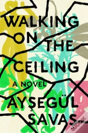 Capa do artigo Walking On The Ceiling