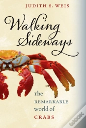 Capa do artigo Walking Sideways