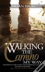 Capa do artigo Walking The Camino