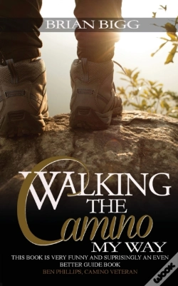 Capa do artigo Walking The Camino
