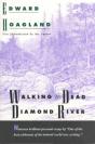 Walking The Dead Diamond River - Preview