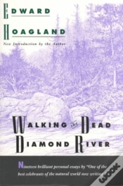 Capa do artigo Walking The Dead Diamond River