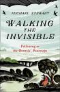 Walking The Invisible - Preview