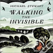 Capa do artigo Walking The Invisible