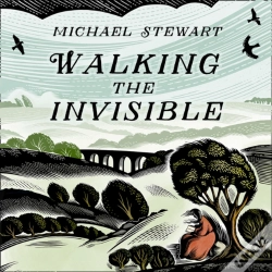 Capa do artigo Walking The Invisible
