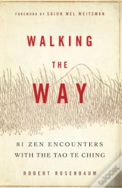 Capa do artigo Walking The Way