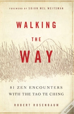 Capa do artigo Walking The Way