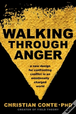Capa do artigo Walking Through Anger
