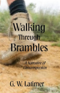 Walking Through Brambles