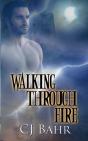 Walking Through Fire - Preview