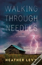 Capa do artigo Walking Through Needles