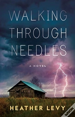Capa do artigo Walking Through Needles