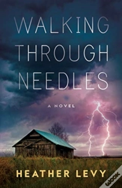 Capa do artigo Walking Through Needles