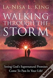 Capa do artigo Walking Through The Storm