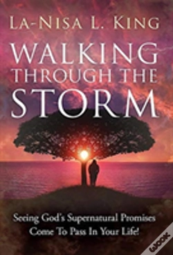 Capa do artigo Walking Through The Storm