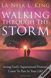 Capa do artigo Walking Through The Storm